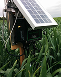 Plug & Sense! Smart Agriculture