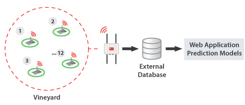 fig3_SCHEMATIC