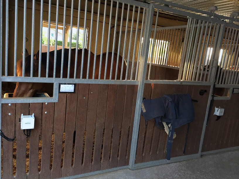 Equine monitoring system in horse stables