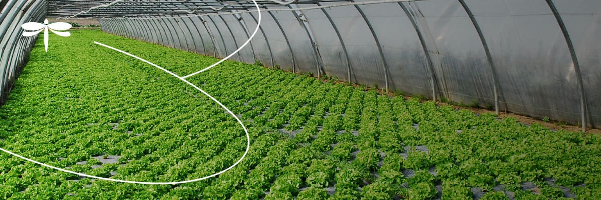 White Paper: Enabling the Smart Agriculture Revolution