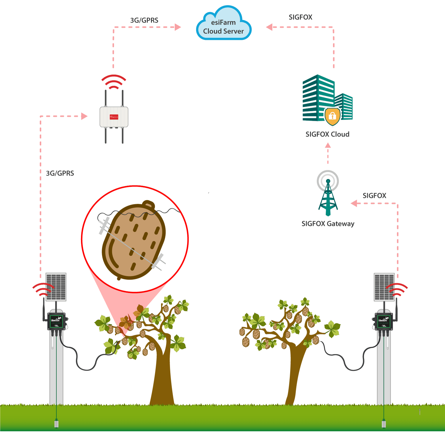 Functioning diagram of the FAMOSA deployment