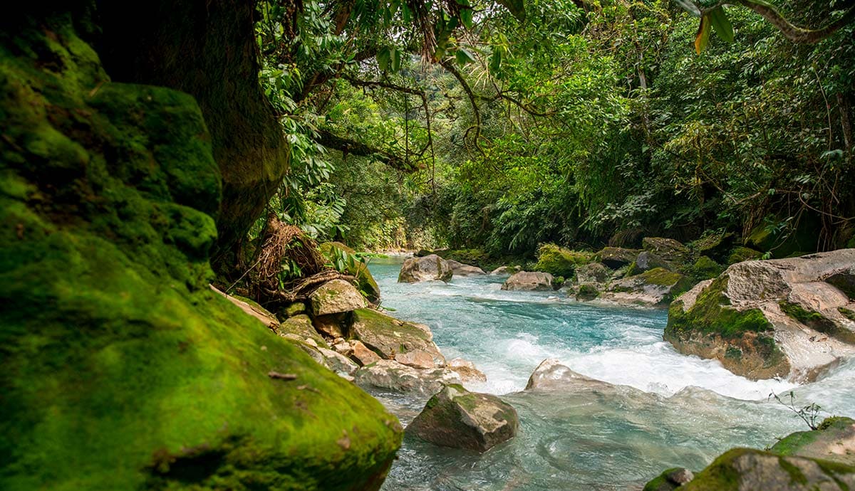 Early warning system to prevent floods and allow disaster management in Colombian rivers