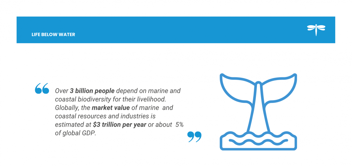 Iot Helps To Reach Sustainable Development Goals 2030 Libelium