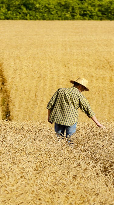 Smart Agriculture