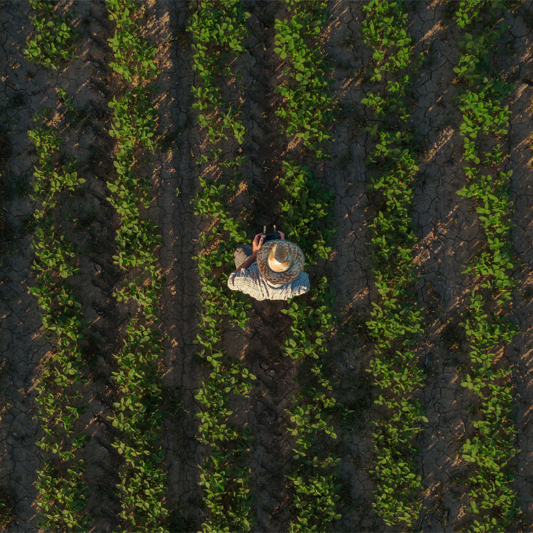 Smart Agriculture Products