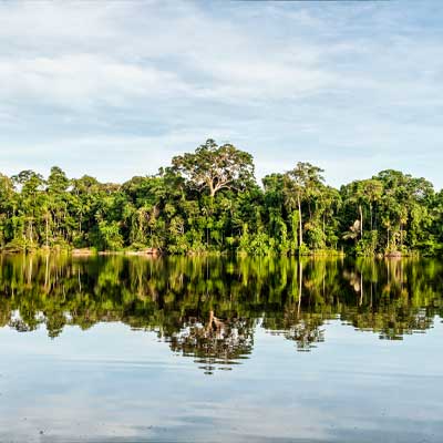 Smart Amazonas
