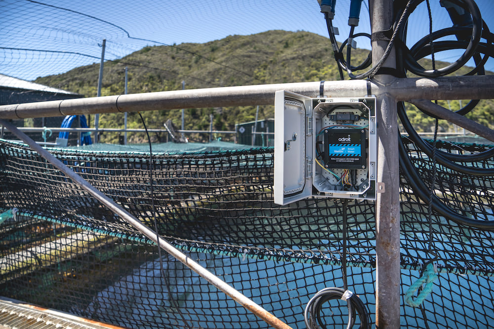 smart water technology for New Zealand King salmon monitoring