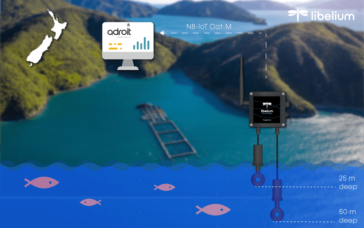 smart water new zealand for salmon farming