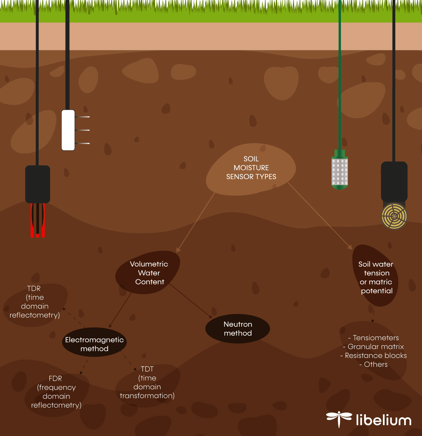 Everything you need to know about soil moisture measurement