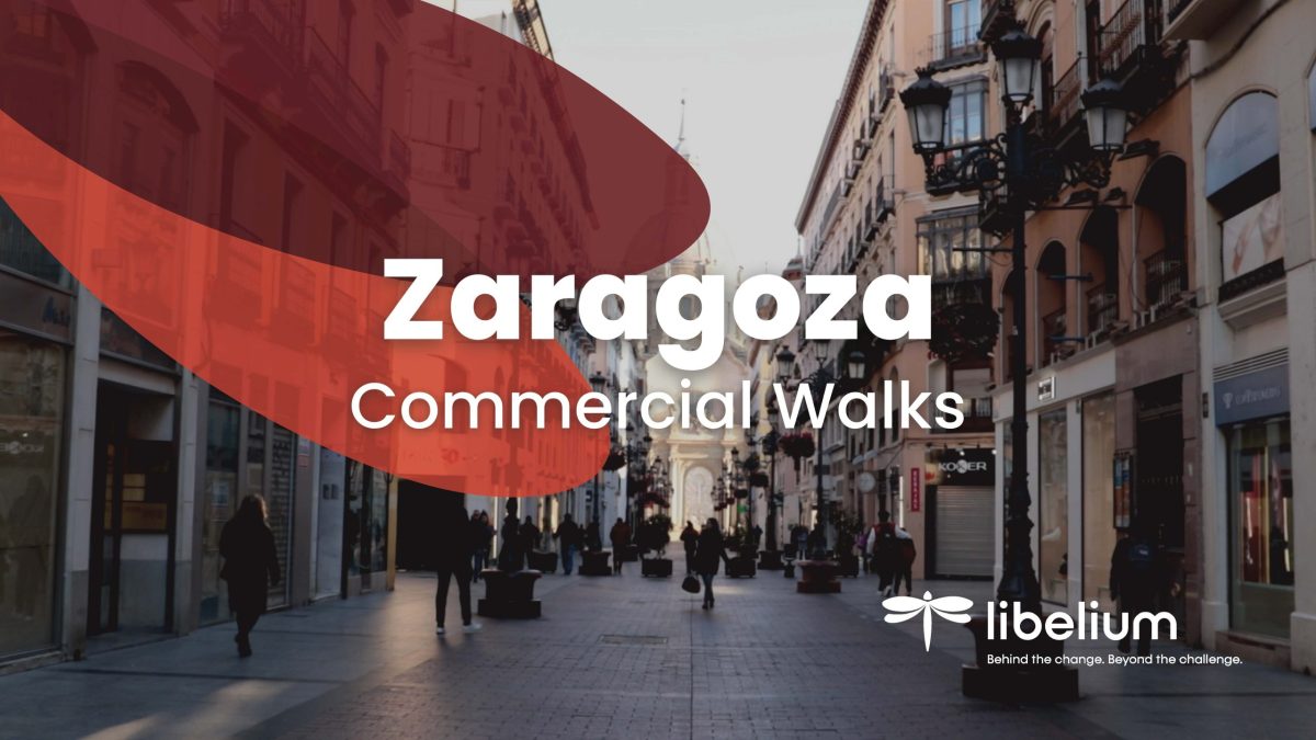 Libelium Success Story Zaragoza Shopping Streets Noise and traffic measurements