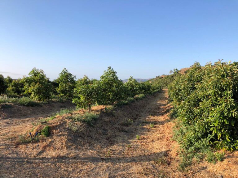 Understand field conditions where agricultural decisions happen